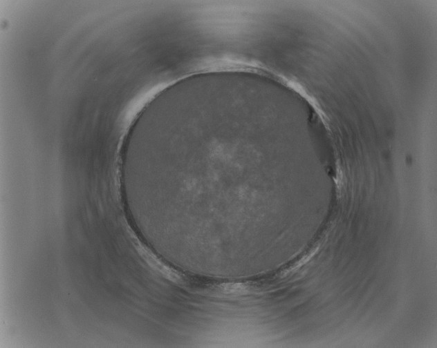 X0000073731463200608241245