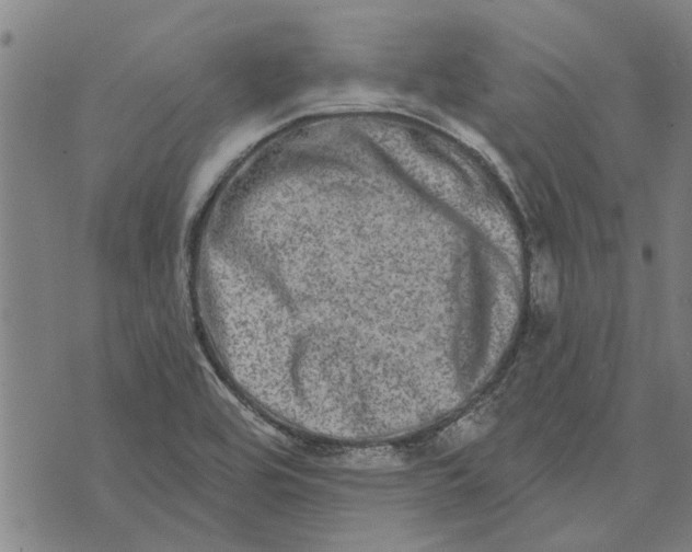 X0000073731464200608241245