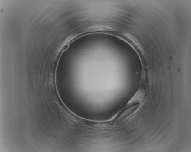 X0000073731465200608241245