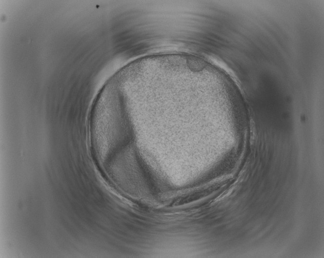 X0000073731467200608241245