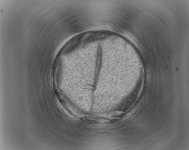 X0000073731468200608241245