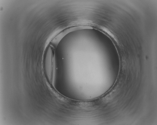 X0000073731469200608241244