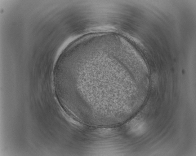 X0000073731470200608241244