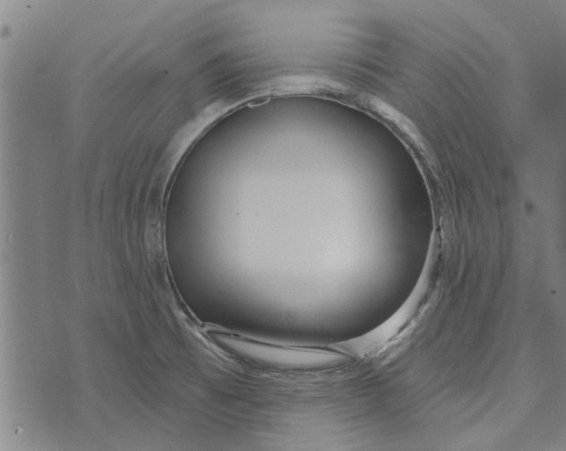 X0000073731473200608241244