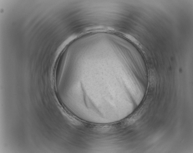 X0000073731474200608241244