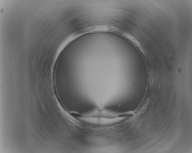 X0000073731475200608241244