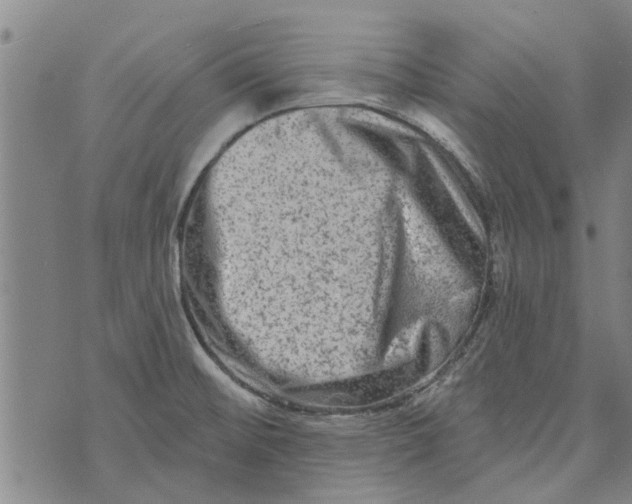 X0000073731476200608241244