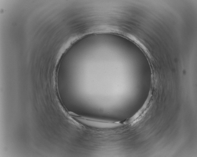 X0000073731477200608241244