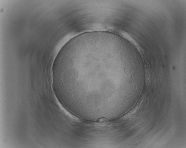 X0000073731479200608241244