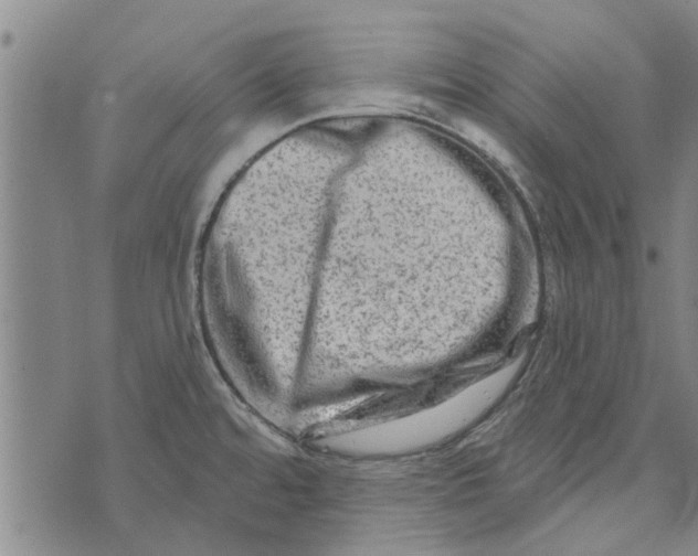 X0000073731480200608241244