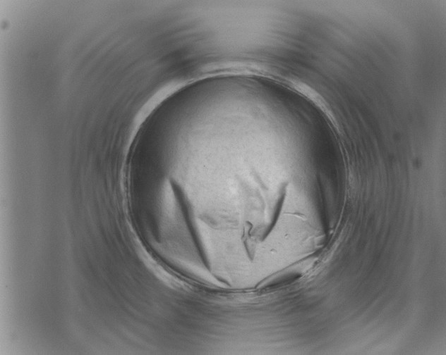 X0000073731482200608241244