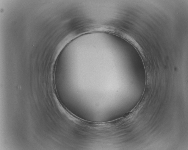 X0000073731483200608241244