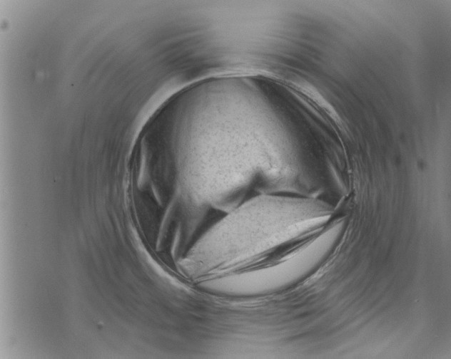 X0000073731484200608241244