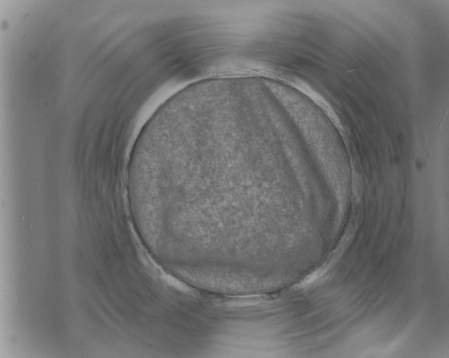 X0000073731486200608241244