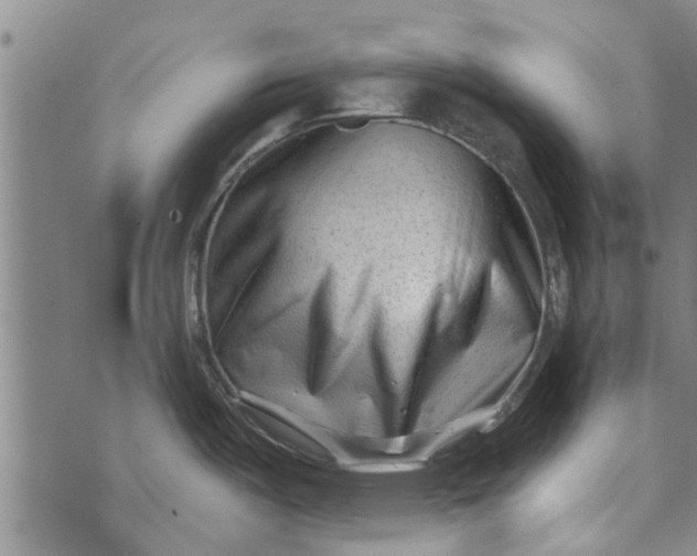 X0000073731487200608241244