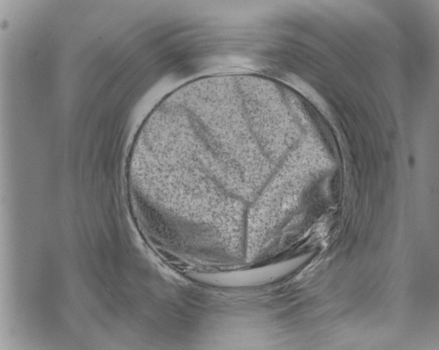 X0000073731488200608241244