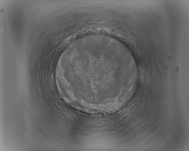 X0000073731489200608241243