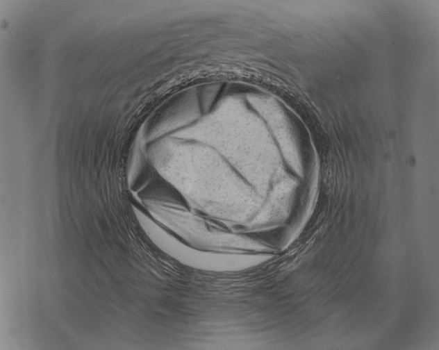 X0000073731490200608241243