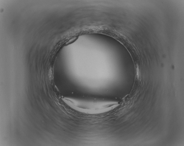 X0000073731492200608241243