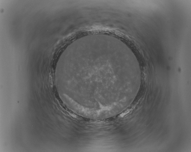 X0000073731493200608241243