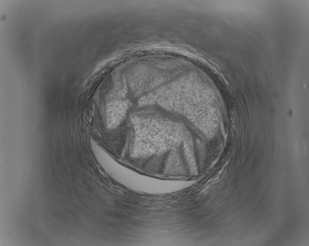 X0000073731494200608241243