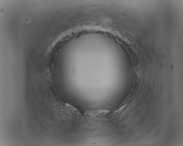 X0000073731495200608241244