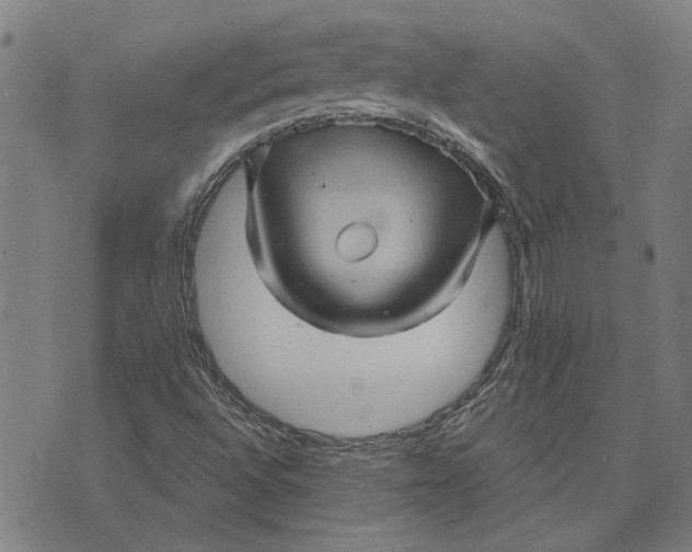 X0000073731496200608241244