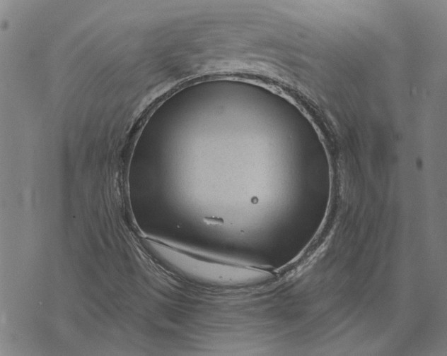 X0000073731497200608241244