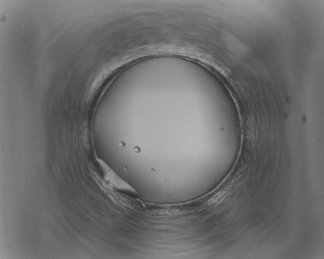 X0000073731499200608241244