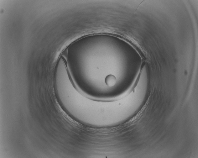 X0000073731500200608241244