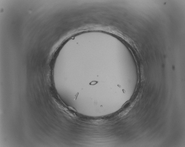 X0000073731502200608241244