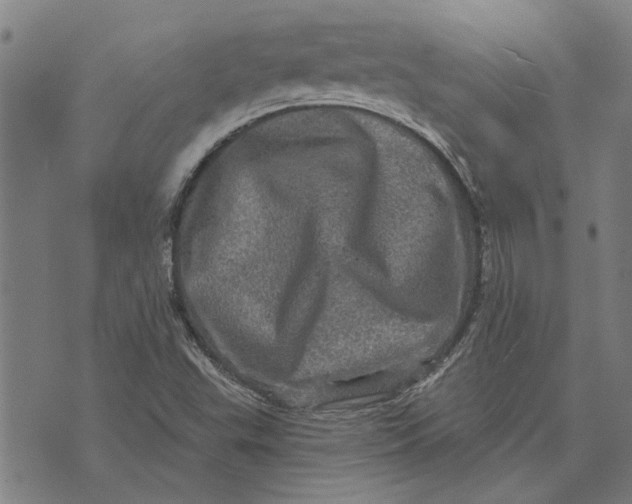 X0000073731503200608241244