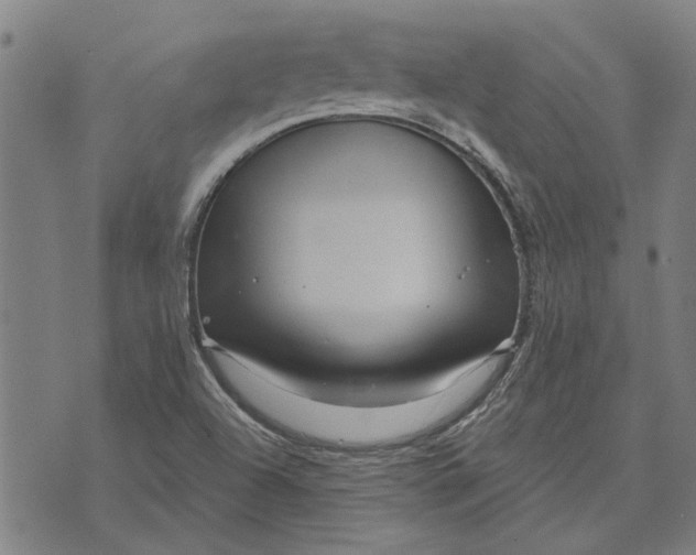 X0000073731504200608241244