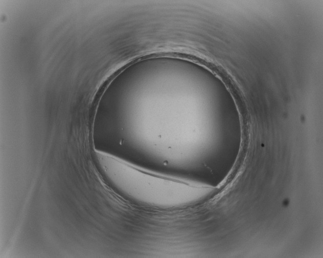 X0000073731505200608241244