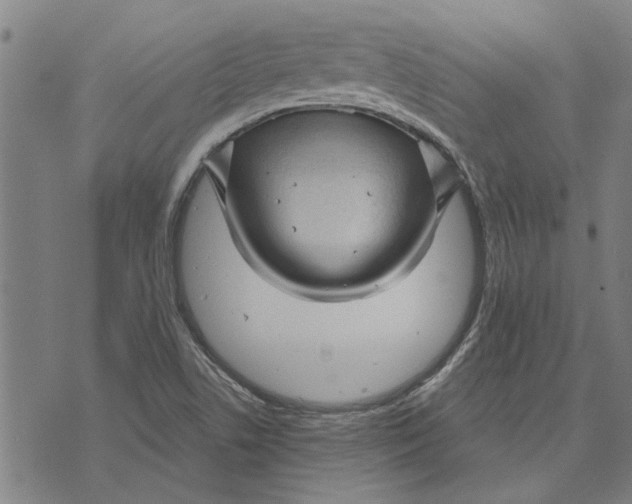 X0000073731506200608241244