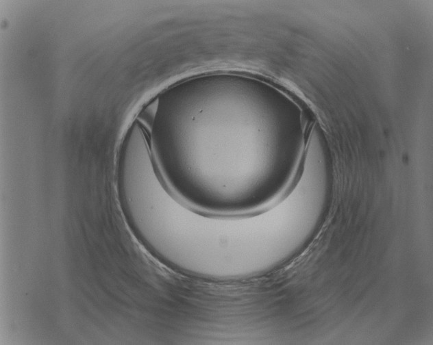 X0000073731508200608241244