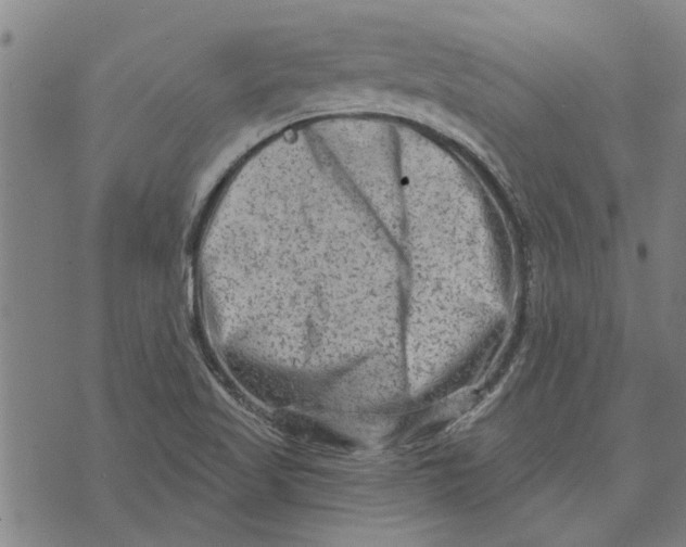 X0000073731509200608241244