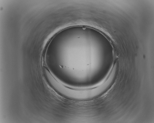 X0000073731510200608241244