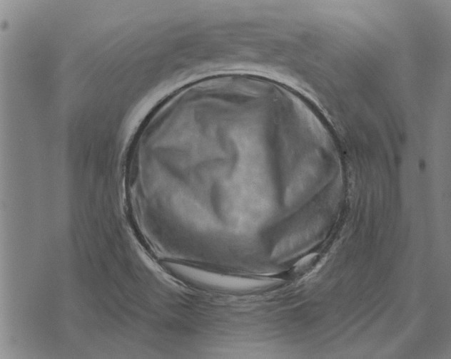 X0000073731511200608241244