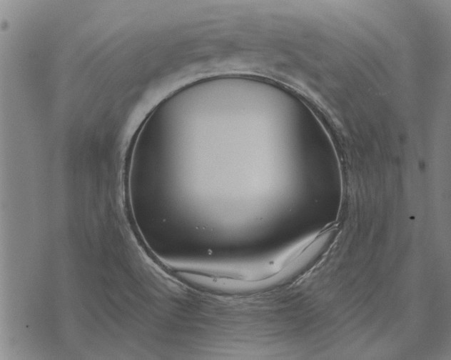 X0000073731512200608241244