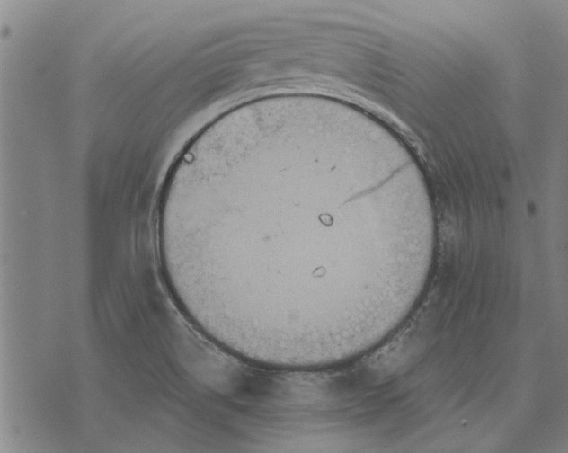 X0000073731514200608241244