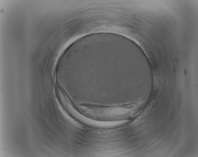 X0000073731515200608241244