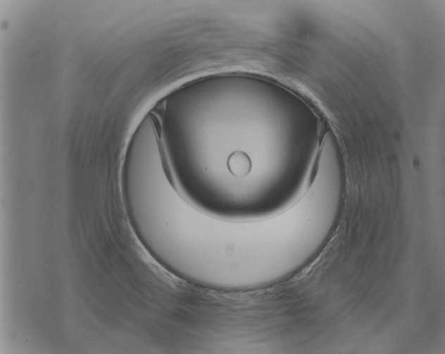 X0000073731516200608241244