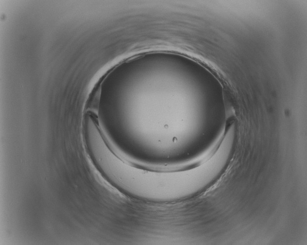 X0000073731518200608241244