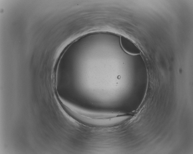 X0000073731519200608241244