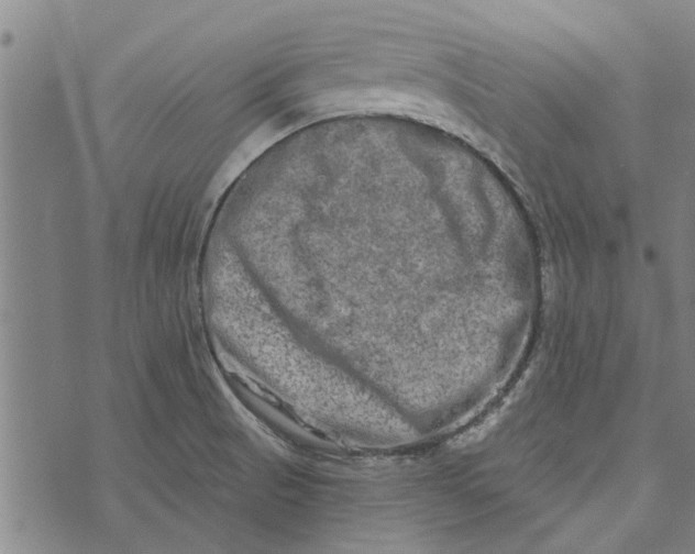 X0000073731521200608241244