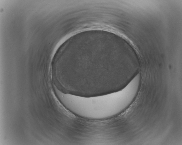 X0000073731522200608241244