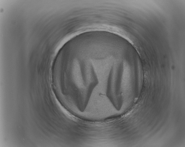 X0000073731523200608241244