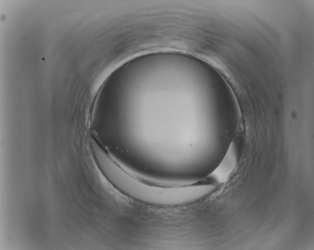 X0000073731524200608241244