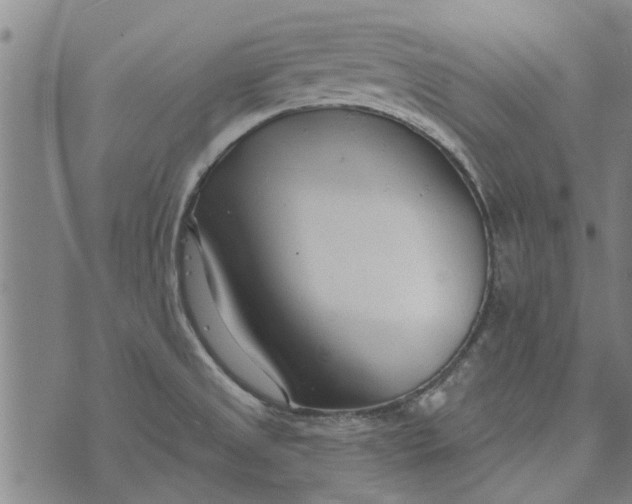 X0000073731525200608241244